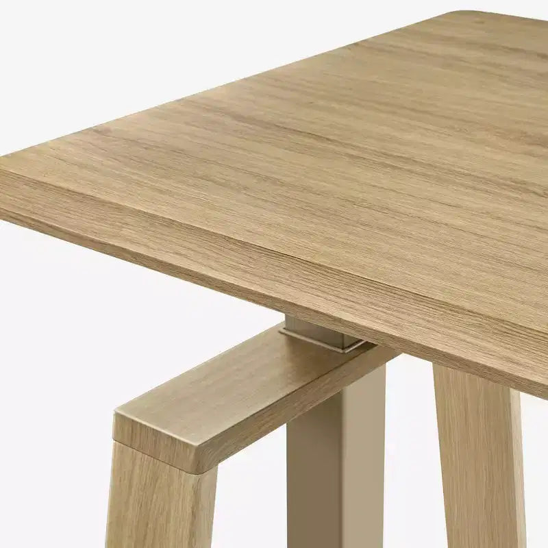 EUREKA ERGONOMIC Bureau Assis-Debout Moderne à Hauteur Réglable (63x29)