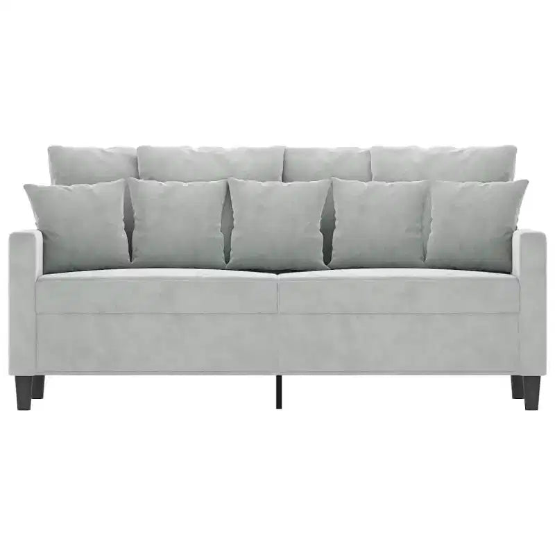 vidaXL Canapé 2 places luxueux en velours gris clair - Siège confortablement rembourré et épais avec structure en métal robuste et design moderne