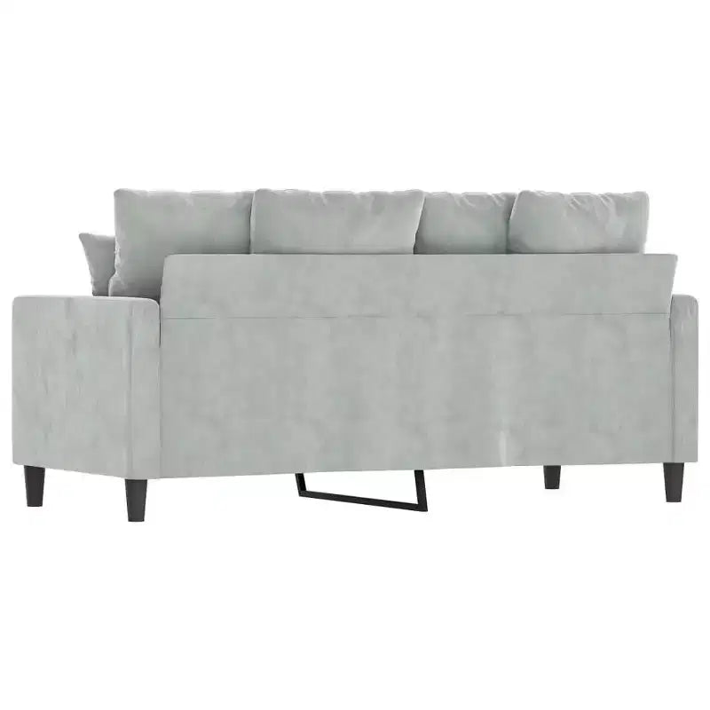 vidaXL Canapé 2 places luxueux en velours gris clair - Siège confortablement rembourré et épais avec structure en métal robuste et design moderne