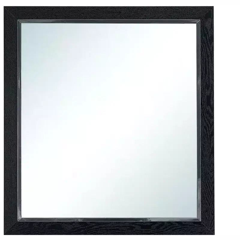 Passion Furniture Livingston 36 in. W x 40 in. H Rectangle Wood Frame Black Dresser Mirror