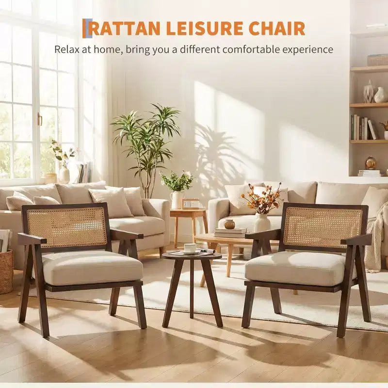 Lot de 2 chaises d'appoint modernes, chaises rembourrées en rotin avec accoudoirs et cadre en bois, pour salon, chambre à coucher, décoration intérieure.