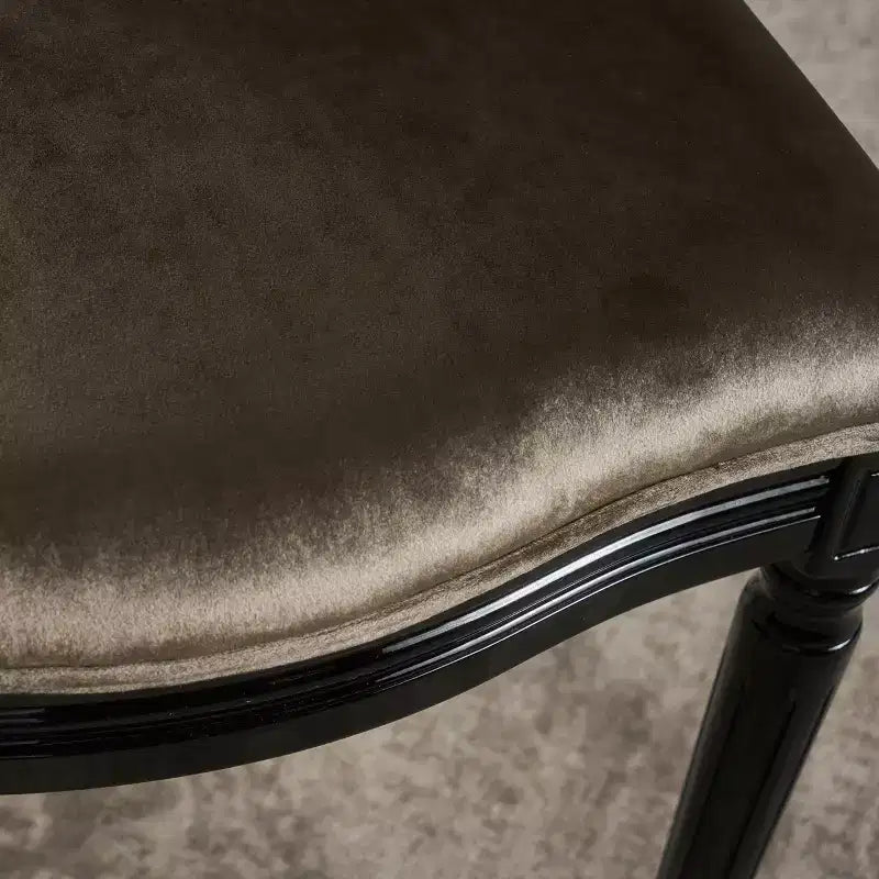 Lot de 2 chaises de salle à manger Camille en velours - Christopher Knight Home